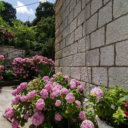 Lejlighed Djivo Dubrovnik